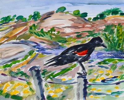 Empoleirado, 2021 (aquarela sobre papel) de Richard Fox