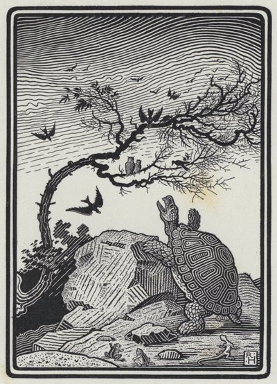 A Tartaruga e as Aves (gravura) de Richard Heighway