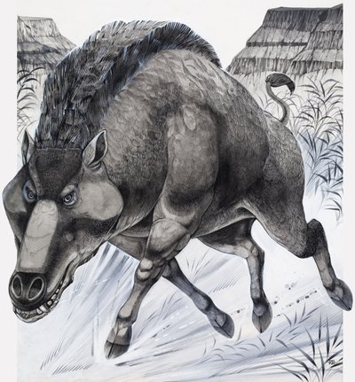 Daeodon (guache sobre papel) de Richard Hook