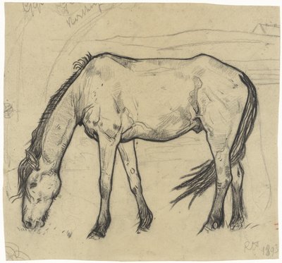 Cavalo de pastoreio em Noordwijk de Richard Nicolaüs Roland Holst