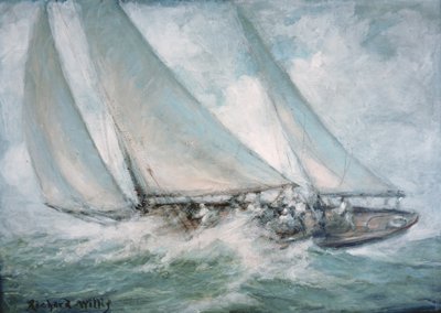 Título desconhecido de Richard Willis
