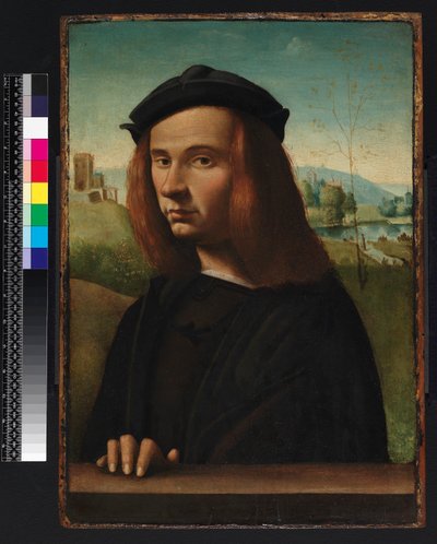 Retrato de um jovem, 1500 de Ridolfo Ghirlandaio