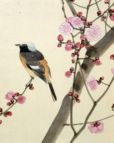 Pássaro - desenho japonês de Riou Chim, final do século XIX de Riu Chim