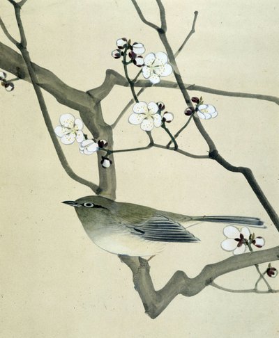 Ave - desenho japonês de Riou Chim, finais do século XIX de Riu Chim