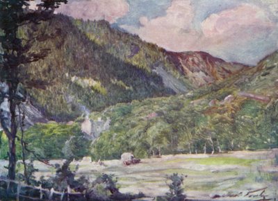 Um Hayfield perto de Portmadoc (cor litho) de Robert (after) Fowler