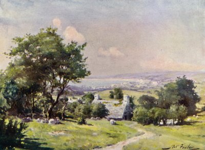 Vista Distante da Baía de Carnarvon (cor litho) de Robert (after) Fowler