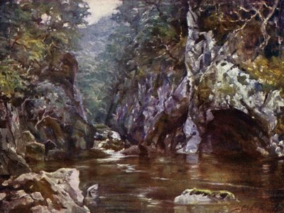 Fada Glen, Bettws-y-Coed (cor litho) de Robert (after) Fowler
