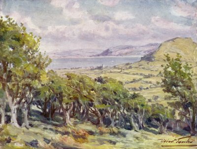Perto da Baía de Colwyn (cor litho) de Robert (after) Fowler