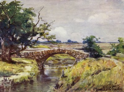 Ponte Romana Antiga, perto de Swansea (cor litho) de Robert (after) Fowler