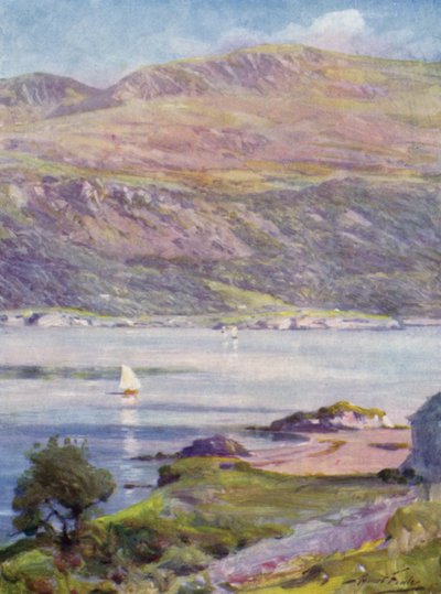Tarde ensolarada, Cardigan Bay (cor litho) de Robert (after) Fowler