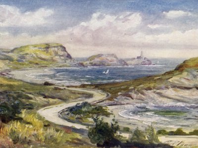 Vista perto de Mumbles, Swansea (cor litho) de Robert (after) Fowler