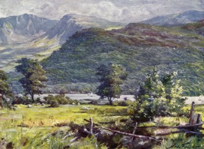 Vista de Cader Idris (cor litho) de Robert (after) Fowler