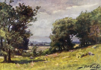 Windy Day, perto de Llanrug (cor litho) de Robert (after) Fowler