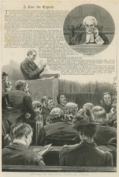 Um caso para especialistas: esboços nos tribunais reais de justiça; com uma vinheta do Sr. Justice Kay de Robert Barnes