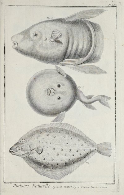 Ilustração de 