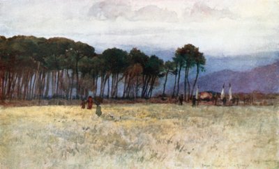 O Pinhal e as montanhas de Carrara em Viareggio (litografia a cores) de Robert Charles Goff