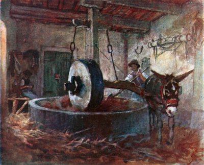 Prensa de óleo toscana (litografia a cores) de Robert Charles Goff
