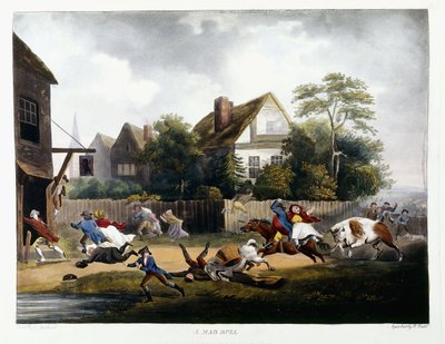 Um touro louco, 1806 de Robert Dodd