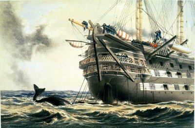 HMS Agamemnon colocando o cabo original do Atlântico, de "The Atlantic Telegraph" de William Howard Russell, publicado em 1866 (litografia a cores) (ver também 192775-778 de Robert Dudley