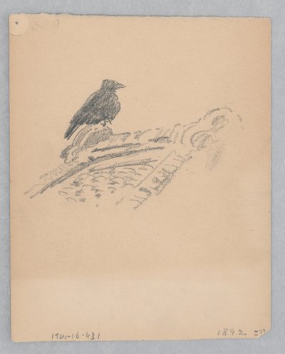Pássaro de Robert Frederick Blum