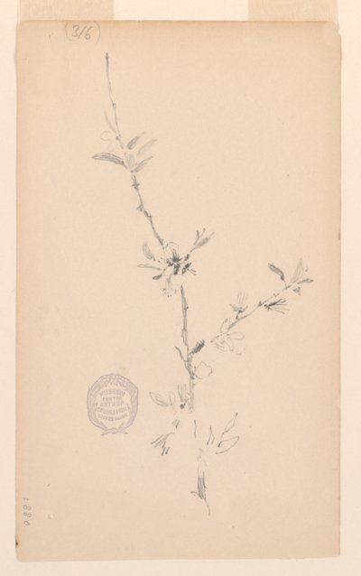 Galho de Robert Frederick Blum