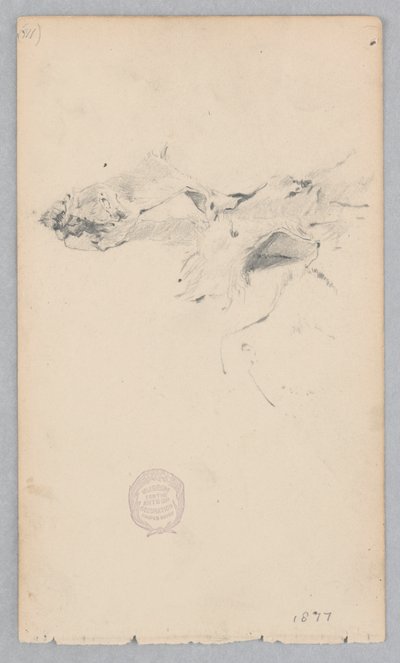 tapete de pele de tigre de Robert Frederick Blum