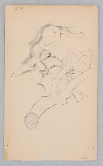 Galho de árvore de Robert Frederick Blum