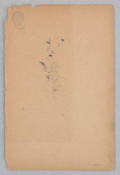 Mulher de Robert Frederick Blum