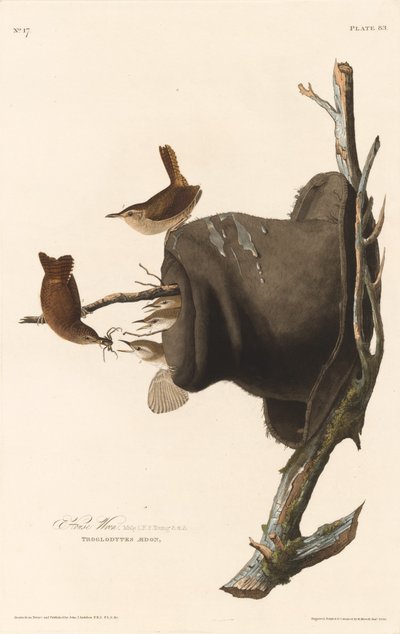 Casa Wren, 1830. de Robert Havell