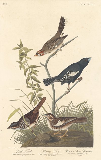 paisagem de Robert Havell