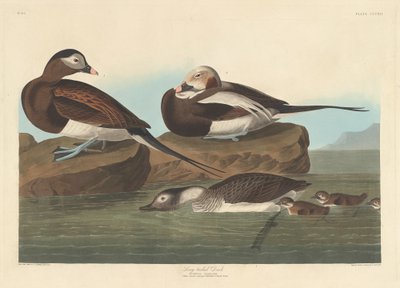 paisagem de Robert Havell
