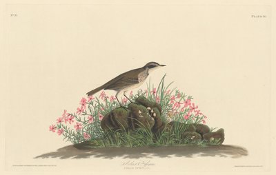 Pradaria Titlark, 1830. de Robert Havell