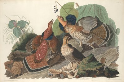 paisagem de Robert Havell