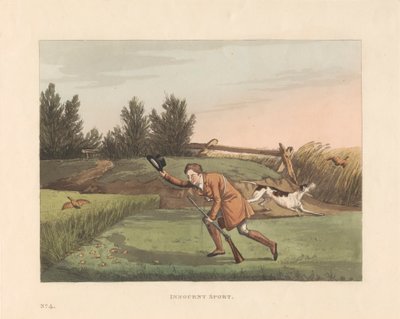 Tiroteio: Conjunto de seis com página de título e invólucro impresso: Misérias Desportivas, ou Six Red Letter Days in the country de Robert Havell