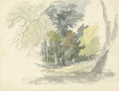 Uma Glade da floresta de Robert Hills