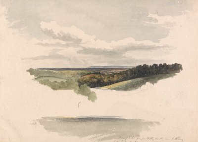 Entre Netley Heath e Albury de Robert Hills