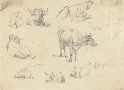 Vacas de vários ângulos de Robert Hills