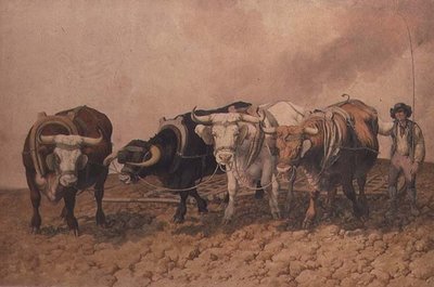 Pungente de Robert Hills