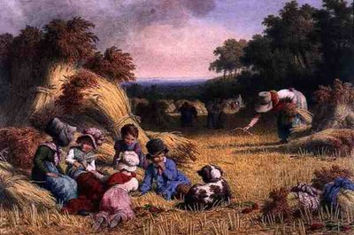 Campo de Colheita de Robert Hills