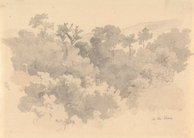 Nos Vaux, Jersey de Robert Hills