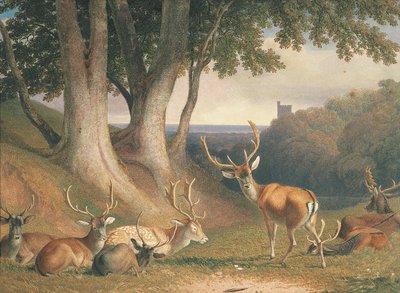 Paisagem com veados, c.1800 (lápis e aguarela sobre papel) de Robert Hills