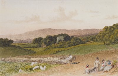 O campo do nabo de Robert Hills