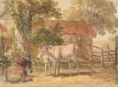 Três burros de Robert Hills