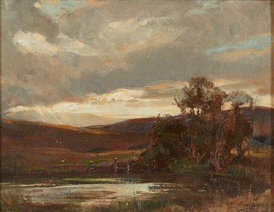 Evening On the Swire Road, Ettrick Bridge (óleo sobre tela) de Robert Hope