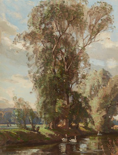 On the Knows Mill Lade, Prestonkirk (óleo sobre tela) de Robert Hope
