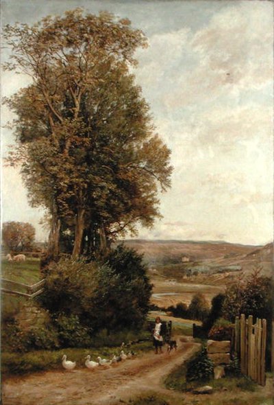 O Vale de Rothbury de Robert Jobling
