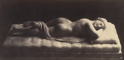 O Hermafrodita, c. 1861. de Robert MacPherson
