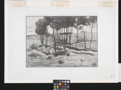 Os Choupos (litografia) de Robert Polhill Bevan