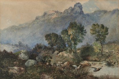 Paisagem com patos-reais de Robert Scott Temple