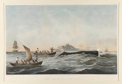 Cachalote, N.º 1 O Caso de Robert Swain Gifford